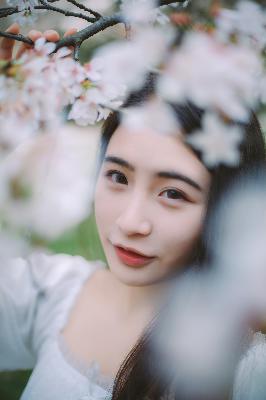 高清日韩电视剧大全免费